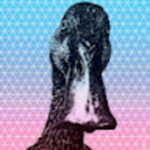 Meet your Posher, Evan